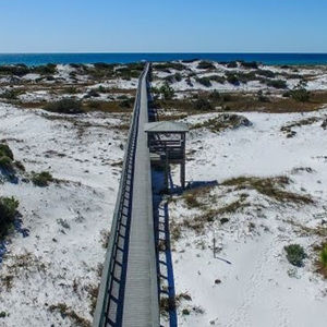 Meet your Posher, Abigail